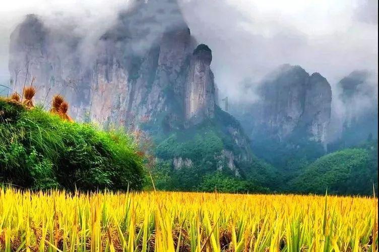 谈恋爱的时候要不要在朋友圈公开两个人的状态？游戏画面