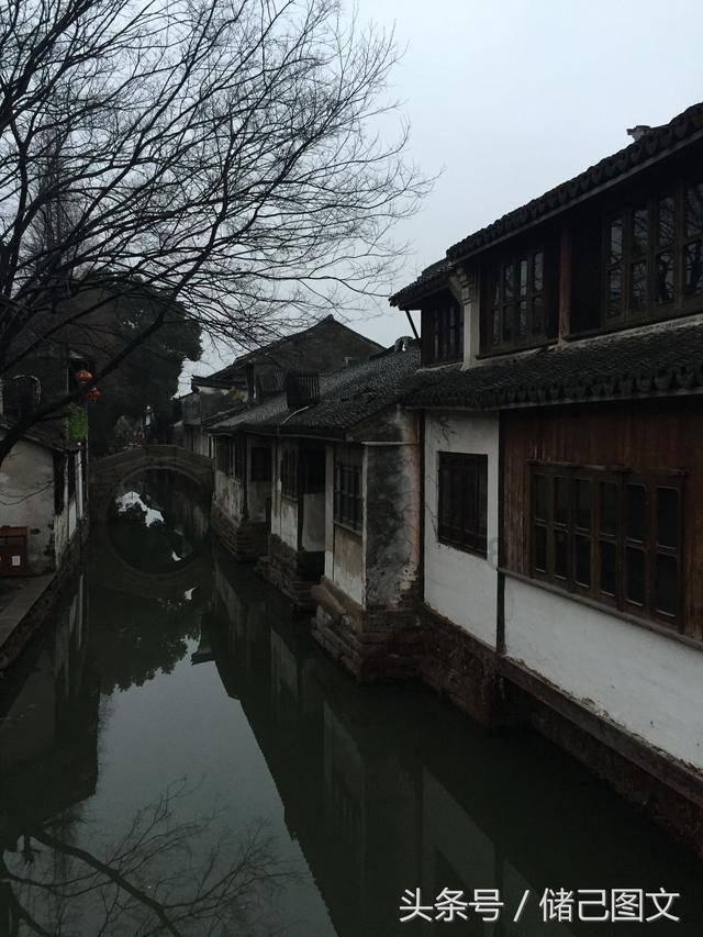 救援顽皮小猴